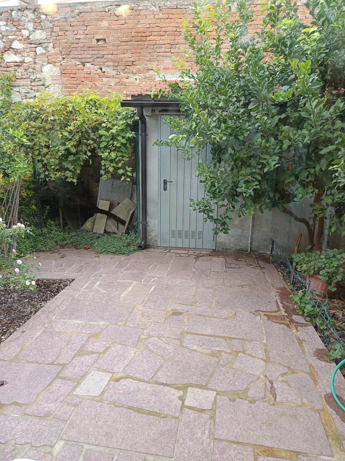 Casa San Michele Daire Pisa Dış mekan fotoğraf